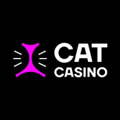 Cat Casino India