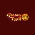 Golden Tiger India