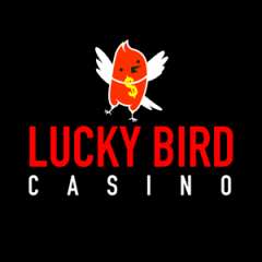 Lucky Bird casino India