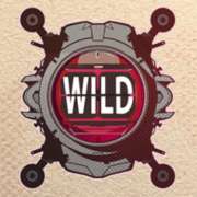 Wild symbol in Agent Destiny slot