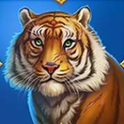 Amur tiger symbol in Tiger Tiger slot