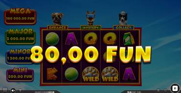 3 Top Dogs: Winnings
