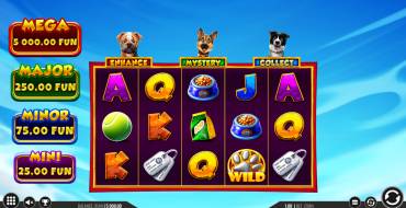 3 Top Dogs: Interface
