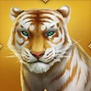 Tigress symbol in Tiger Tiger slot