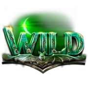 Wild symbol in Halloween Wins slot