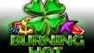 40 Burning Hot Clover Chance (EGT)