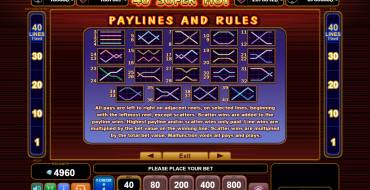 40 Super Hot: Rules of the game
