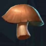 Mushroom symbol in Rocco Gallo slot