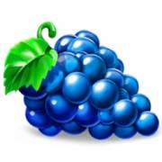 5x6 Fruity Shots: Grapes