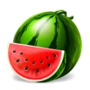 5x6 Fruity Shots: Watermelon