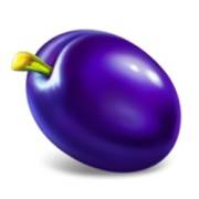 5x6 Fruity Shots: Plum
