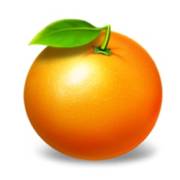 5x6 Fruity Shots: Orange