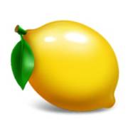 5x6 Fruity Shots: Lemon