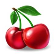 5x6 Fruity Shots: Cherry
