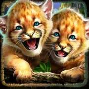 Kittens symbol in Cougar Cash slot