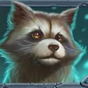 Raccoon symbol in Beasts of Fire slot