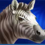 Zebra symbol in Lion Gems: Hold and Win slot