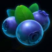 777 Winter Hit: Blueberries