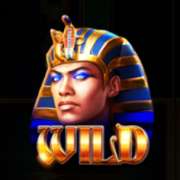 Wild symbol in Times of Egypt Pharaoh's Reign slot