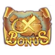 Bonus symbol in Pirate Multi Coins slot
