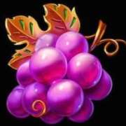 Grapes symbol in Fruit Blaze slot