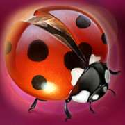 Ladybug symbol in Lucky Lands slot