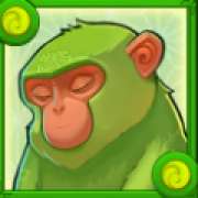 Monkey symbol in Big Bamboo slot