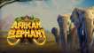 African Elephant