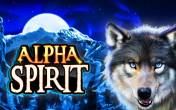 Alpha Spirit (Bluberi)