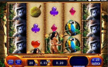 Amazon Queen slot