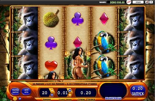 Amazon Queen slot