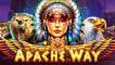 Apache Way