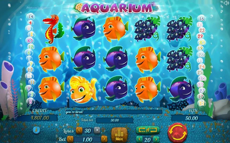 Aquarium slot