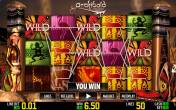 Archibald: Discovering Africa (World Match)
