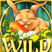 Wild symbol in Retro Easter slot