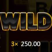 Wild symbol in 3 Coins Hold and Win slot