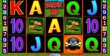 Barkin’ Mad: Special elements