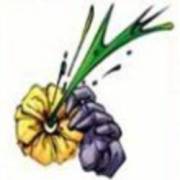 Batman: Flower