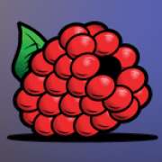 Raspberries symbol in Hold4Timer slot