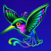 Beauty Fairy: Kolibri