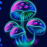 Beauty Fairy: Mushrooms