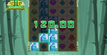Big Bamboo: Winnings