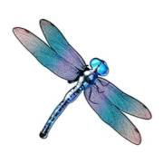 Big Bass Bonanza 1000: Dragonfly