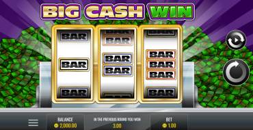Big Cash Win: Slot machine