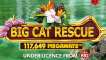 Play Big Cat Rescue Megaways slot