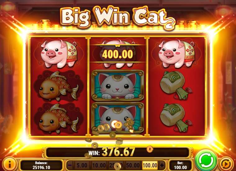 Play Big Win Cat slot