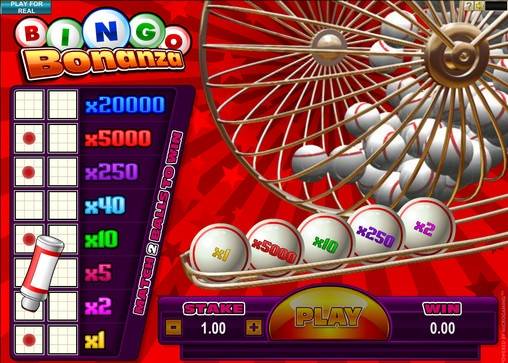 Bingo Bonanza