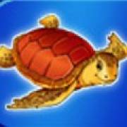 Blue Dolphin: Turtle