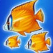 Blue Dolphin: Fish