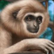Blue Panther: Monkey